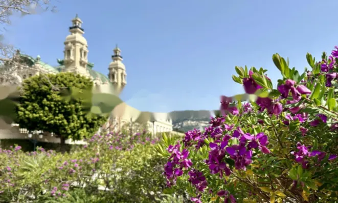 Недвижимость Apartment Monaco, Carre D'Or: 6