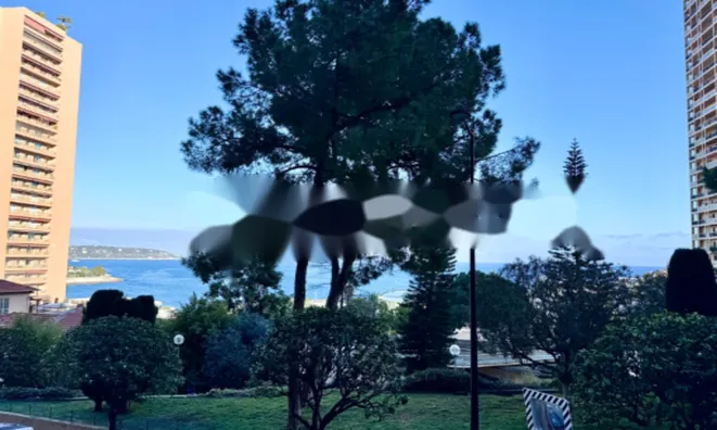 Недвижимость Apartment Monaco, Monte-Carlo: 13