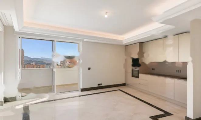 Недвижимость Apartment Monaco, Moneghetti: 1