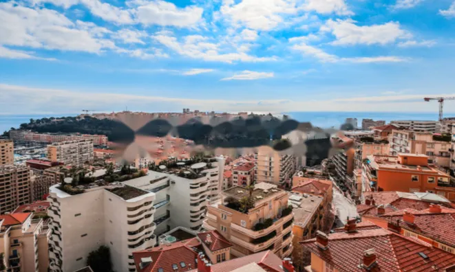 Недвижимость Apartment Monaco, Moneghetti: 5