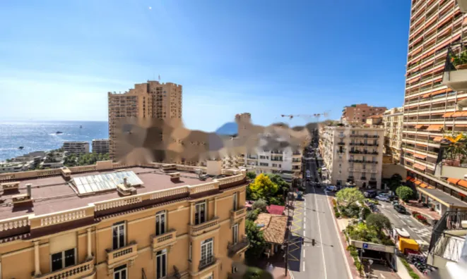 Недвижимость Apartment Monaco, Monte-Carlo: 4