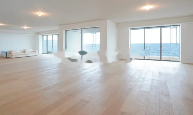 Недвижимость Apartment Monaco, Anse Du Portier: 3