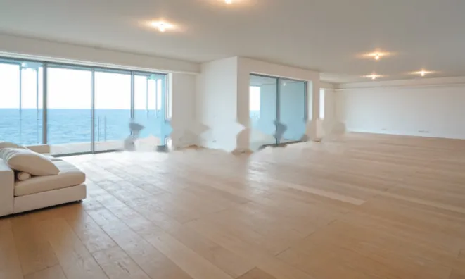 Недвижимость Apartment Monaco, Anse Du Portier: 4
