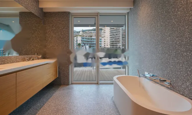 Недвижимость Apartment Monaco, Anse Du Portier: 14