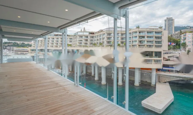 Недвижимость Apartment Monaco, Anse Du Portier: 20