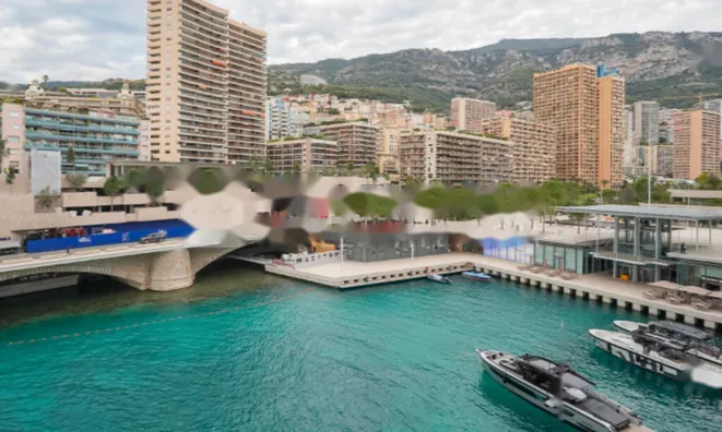 Недвижимость Apartment Monaco, Anse Du Portier: 21