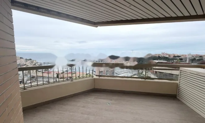 Недвижимость Apartment Monaco, Moneghetti: 6