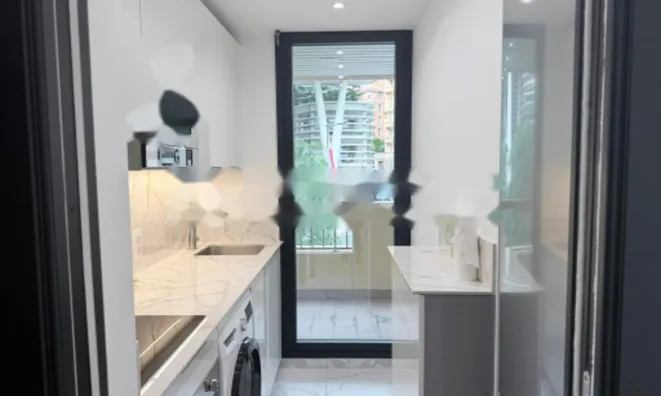 Недвижимость Apartment Monaco, Moneghetti: 17