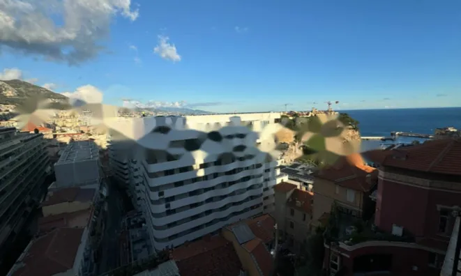 Недвижимость Apartment Monaco, Jardin Exotique: 9