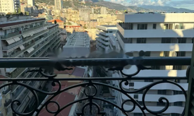 Недвижимость Apartment Monaco, Jardin Exotique: 10