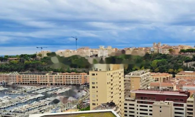 Недвижимость Apartment Monaco, Condamine: 9