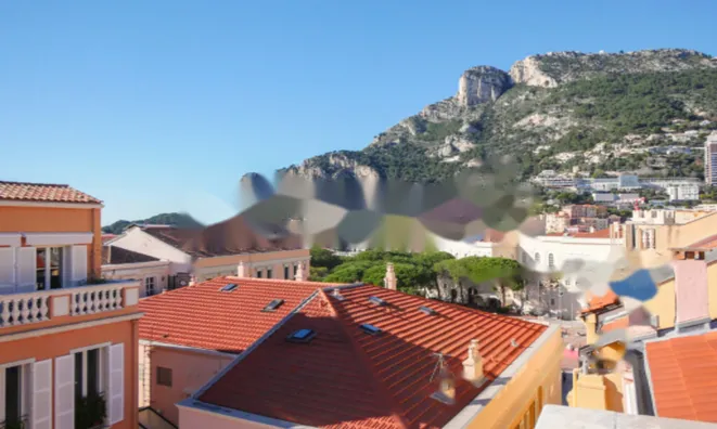 Недвижимость Apartment Monaco, Monaco-Ville: 20