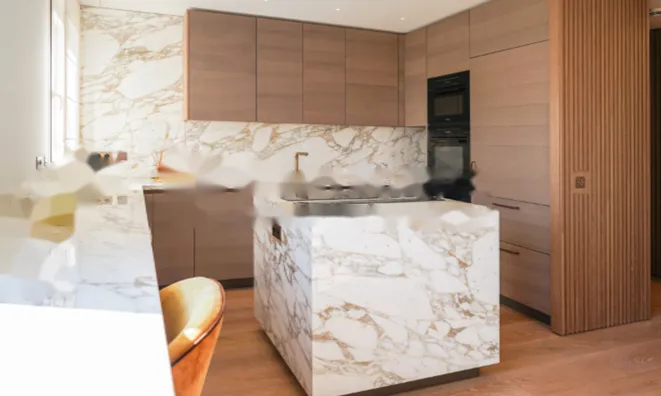 Недвижимость Apartment Monaco: 7