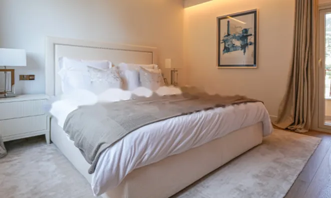 Недвижимость Apartment Monaco: 11