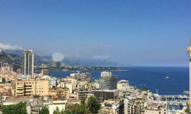 Недвижимость Apartment Monaco, Jardin Exotique: 1