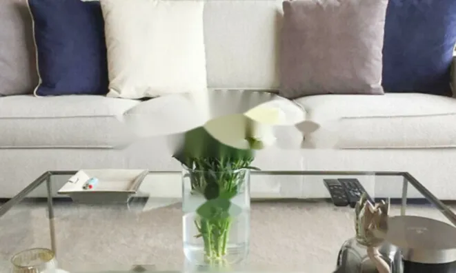 Недвижимость Apartment Monaco, Jardin Exotique: 3