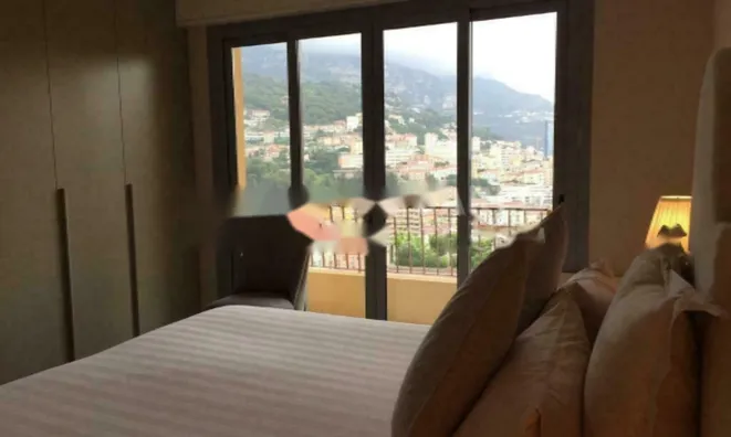 Недвижимость Apartment Monaco, Jardin Exotique: 7