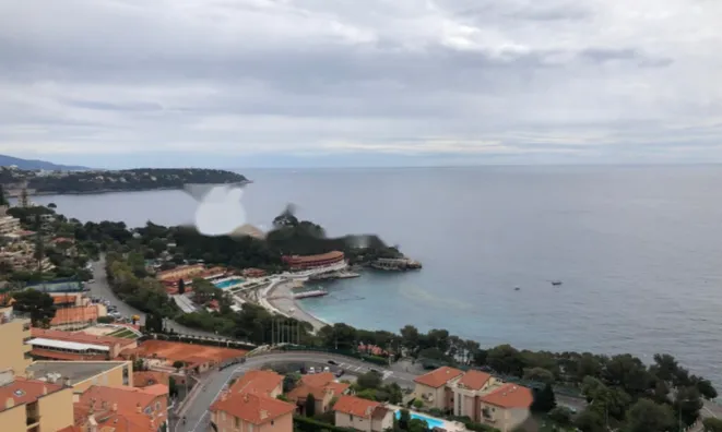 Недвижимость Apartment Monaco, La Rousse: 19