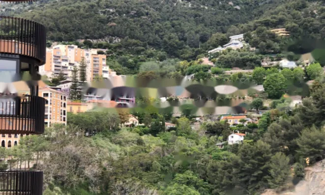 Недвижимость Apartment Monaco, La Rousse: 27