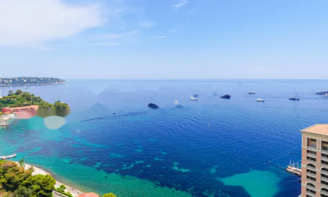 Недвижимость Apartment Monaco, La Rousse: 5