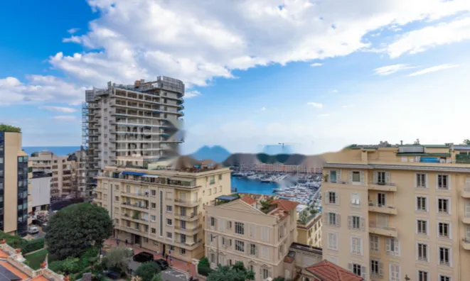 Недвижимость Apartment Monaco, Monte-Carlo: 12