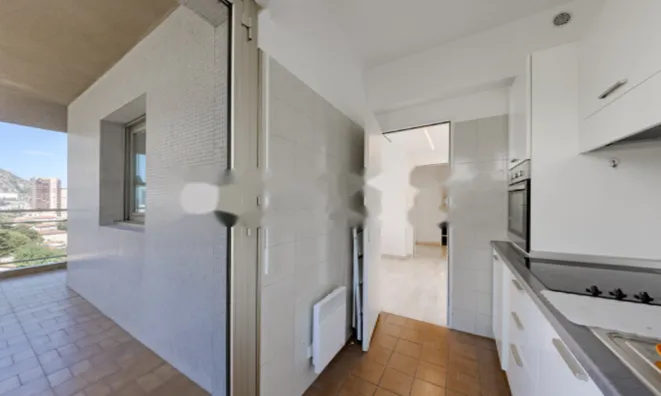 Недвижимость Apartment Monaco, La Rousse: 4