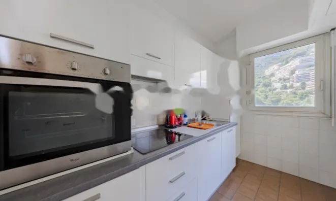 Недвижимость Apartment Monaco, La Rousse: 5