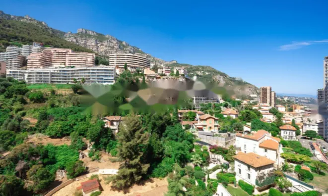 Недвижимость Apartment Monaco, La Rousse: 11