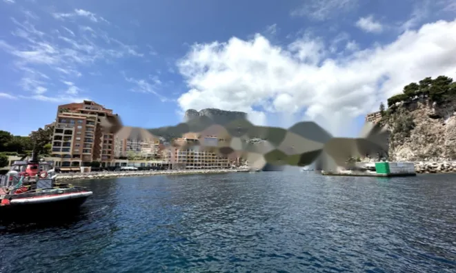 Недвижимость Apartment Monaco, La Rousse: 23