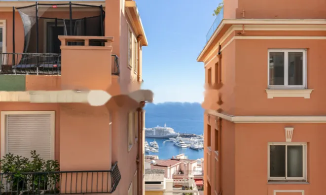 Недвижимость Apartment Monaco, Moneghetti: 10