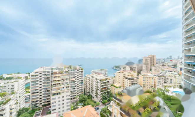Недвижимость Apartment Monaco, La Rousse: 7