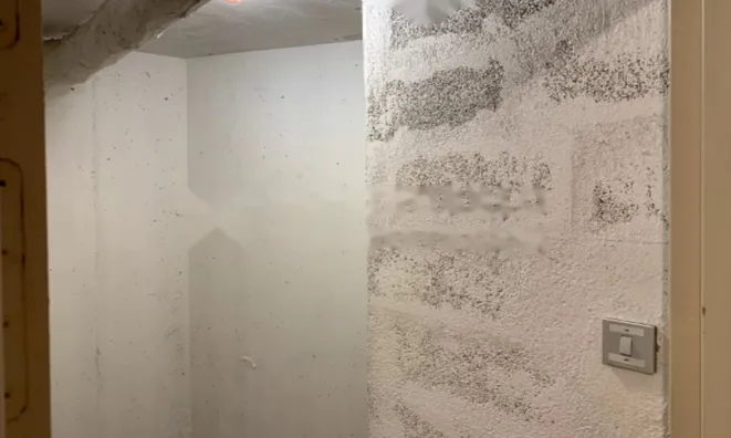 Недвижимость Apartment Monaco, Jardin Exotique: 8