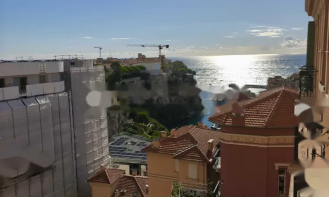 Недвижимость Apartment Monaco, Jardin Exotique: 6