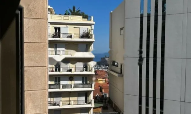 Недвижимость Apartment Monaco, Jardin Exotique: 7