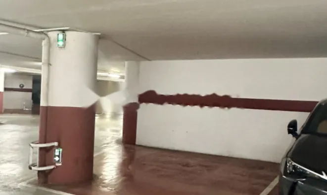 Недвижимость Apartment Monaco, Jardin Exotique: 7