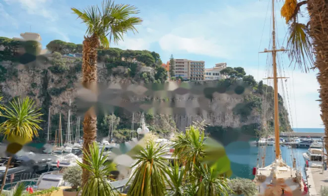 Недвижимость Apartment Monaco, Fontvieille: 1