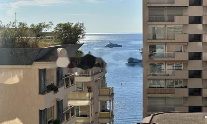 Недвижимость Apartment Monaco, La Rousse: 8