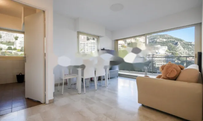 Недвижимость Apartment Monaco, La Rousse: 3