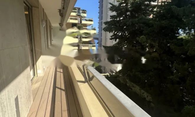 Недвижимость Apartment Monaco, Jardin Exotique: 3