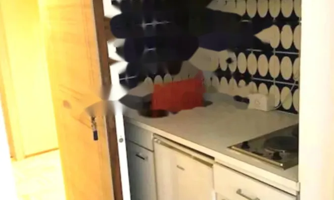 Недвижимость Apartment Monaco, La Rousse: 3