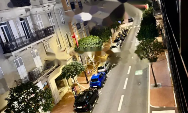 Недвижимость Apartment Monaco, Condamine: 3