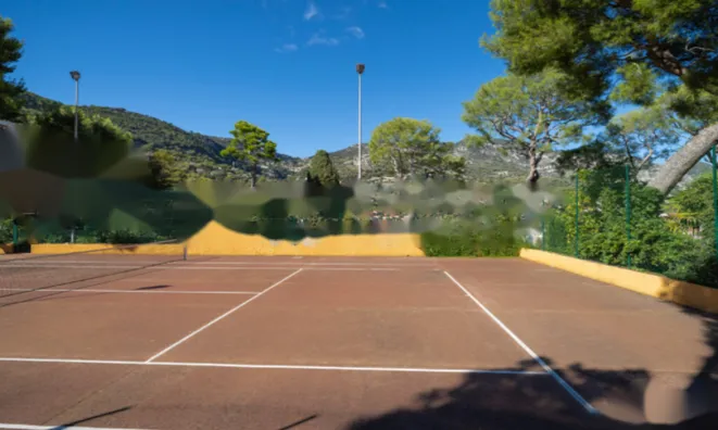 Недвижимость Apartment Monaco, Jardin Exotique: 11