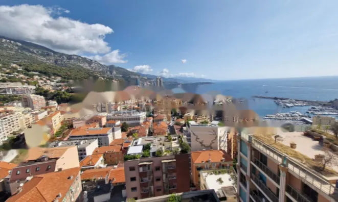 Недвижимость Apartment Monaco, Jardin Exotique: 10