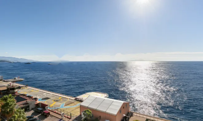 Недвижимость Apartment Monaco, Fontvieille: 12