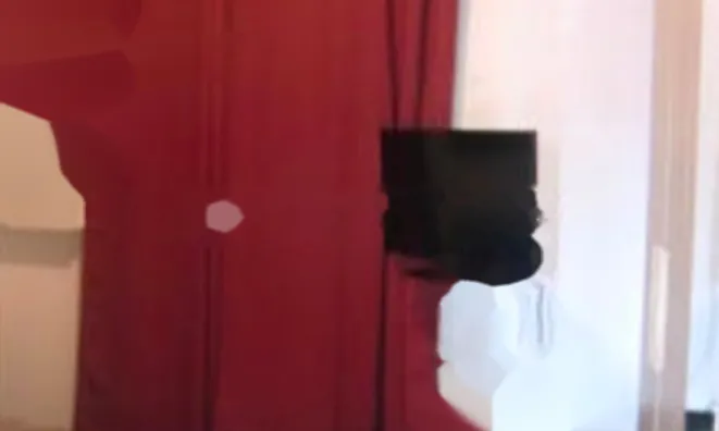 Недвижимость Apartment Monaco, Jardin Exotique: 3