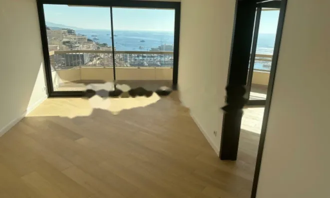 Недвижимость Apartment Monaco, Moneghetti: 2