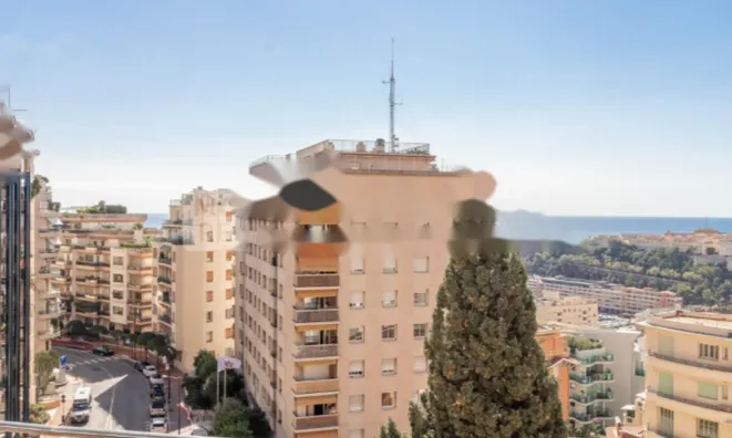 Недвижимость Apartment Monaco, Moneghetti: 11