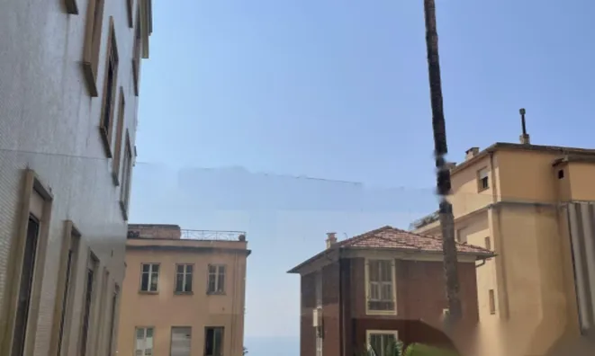 Недвижимость Apartment Monaco, Jardin Exotique: 10