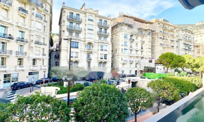 Недвижимость Apartment Monaco, Monte-Carlo: 13