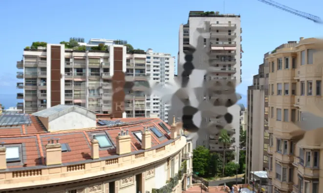 Недвижимость Apartment Monaco, Monte-Carlo: 12